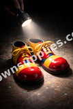 My Clown Story FunCards - Includes a Clown Story, 17 FunCards and a Pocket size wallet case